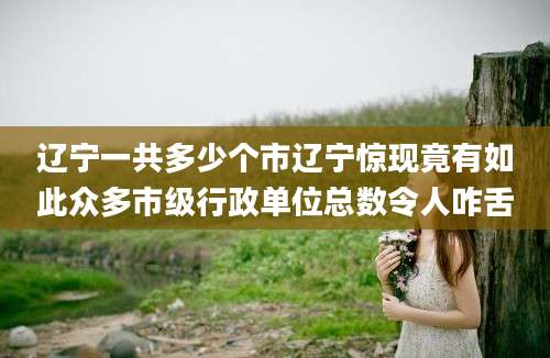 辽宁一共多少个市辽宁惊现竟有如此众多市级行政单位总数令人咋舌
