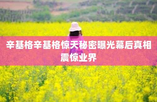 辛基格辛基格惊天秘密曝光幕后真相震惊业界
