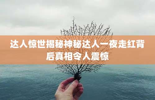 达人惊世揭秘神秘达人一夜走红背后真相令人震惊