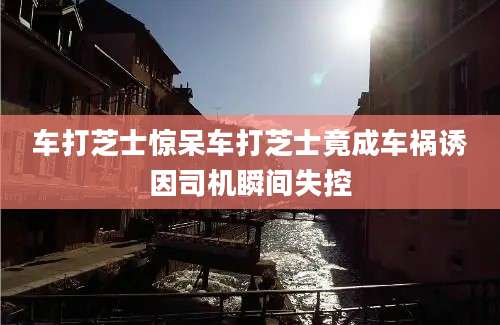 车打芝士惊呆车打芝士竟成车祸诱因司机瞬间失控