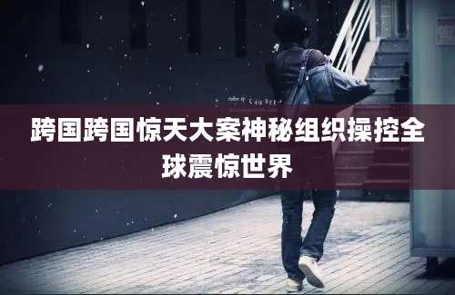跨国跨国惊天大案神秘组织操控全球震惊世界
