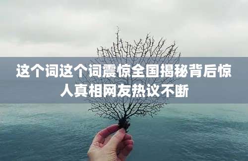 这个词这个词震惊全国揭秘背后惊人真相网友热议不断