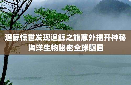 追鲸惊世发现追鲸之旅意外揭开神秘海洋生物秘密全球瞩目