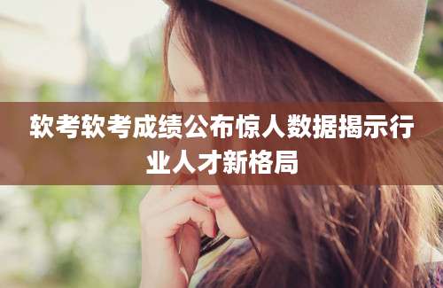 软考软考成绩公布惊人数据揭示行业人才新格局