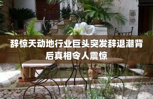 辞惊天动地行业巨头突发辞退潮背后真相令人震惊