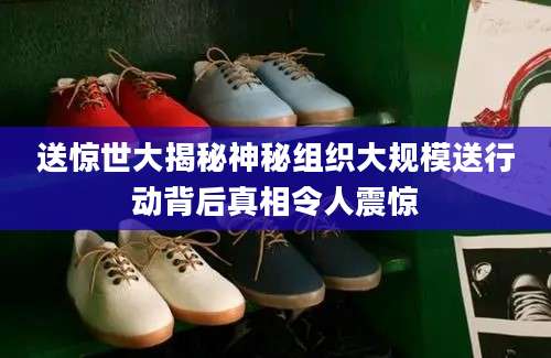 送惊世大揭秘神秘组织大规模送行动背后真相令人震惊