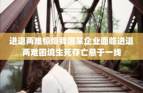 进退两难惊爆我国某企业面临进退两难困境生死存亡悬于一线