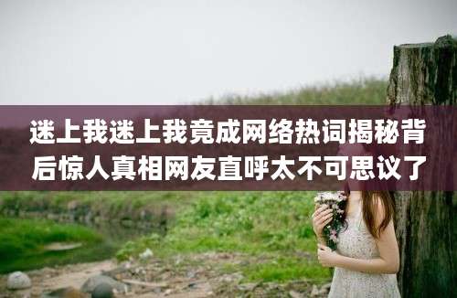 迷上我迷上我竟成网络热词揭秘背后惊人真相网友直呼太不可思议了
