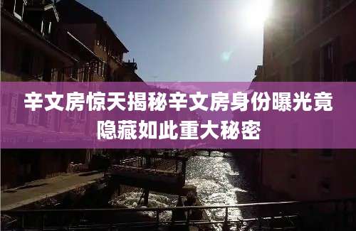 辛文房惊天揭秘辛文房身份曝光竟隐藏如此重大秘密