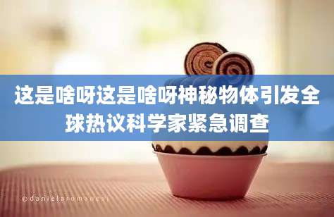 这是啥呀这是啥呀神秘物体引发全球热议科学家紧急调查