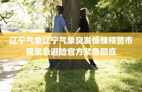 辽宁气象辽宁气象突发惊悚预警市民紧急避险官方紧急回应