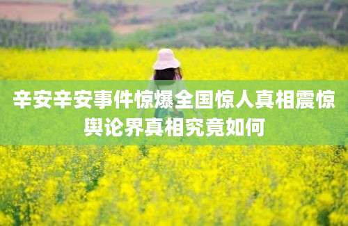 辛安辛安事件惊爆全国惊人真相震惊舆论界真相究竟如何