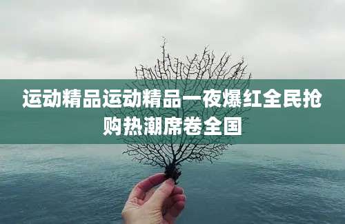 运动精品运动精品一夜爆红全民抢购热潮席卷全国