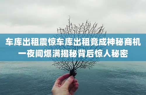 车库出租震惊车库出租竟成神秘商机一夜间爆满揭秘背后惊人秘密