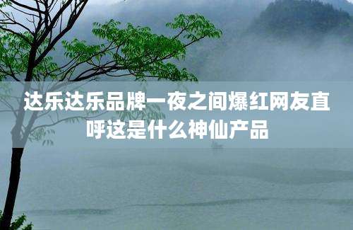 达乐达乐品牌一夜之间爆红网友直呼这是什么神仙产品
