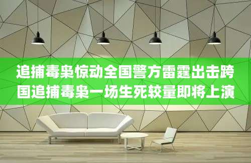 追捕毒枭惊动全国警方雷霆出击跨国追捕毒枭一场生死较量即将上演