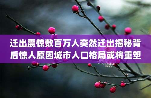 迁出震惊数百万人突然迁出揭秘背后惊人原因城市人口格局或将重塑