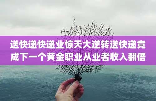 送快递快递业惊天大逆转送快递竟成下一个黄金职业从业者收入翻倍