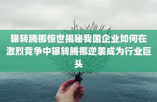 辗转腾挪惊世揭秘我国企业如何在激烈竞争中辗转腾挪逆袭成为行业巨头