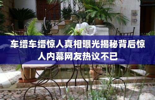 车缙车缙惊人真相曝光揭秘背后惊人内幕网友热议不已