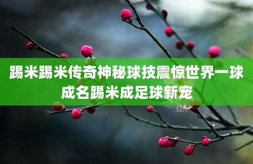 踢米踢米传奇神秘球技震惊世界一球成名踢米成足球新宠
