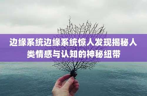 边缘系统边缘系统惊人发现揭秘人类情感与认知的神秘纽带