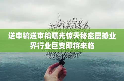 送审稿送审稿曝光惊天秘密震撼业界行业巨变即将来临