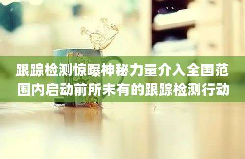 跟踪检测惊曝神秘力量介入全国范围内启动前所未有的跟踪检测行动
