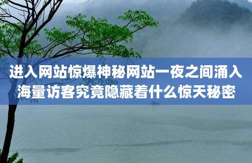 进入网站惊爆神秘网站一夜之间涌入海量访客究竟隐藏着什么惊天秘密