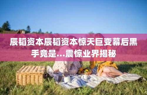辰韬资本辰韬资本惊天巨变幕后黑手竟是...震惊业界揭秘