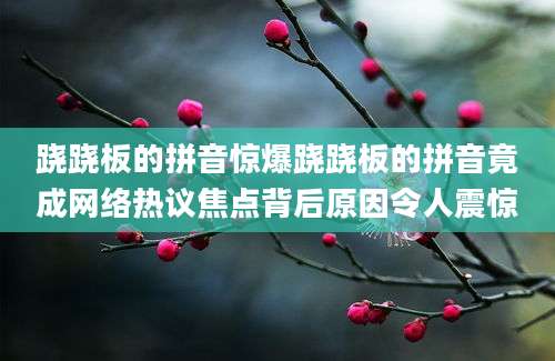 跷跷板的拼音惊爆跷跷板的拼音竟成网络热议焦点背后原因令人震惊