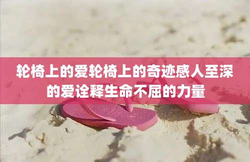 轮椅上的爱轮椅上的奇迹感人至深的爱诠释生命不屈的力量