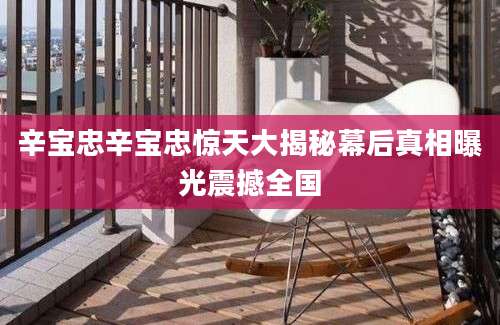 辛宝忠辛宝忠惊天大揭秘幕后真相曝光震撼全国