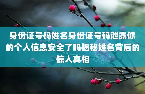 身份证号码姓名身份证号码泄露你的个人信息安全了吗揭秘姓名背后的惊人真相