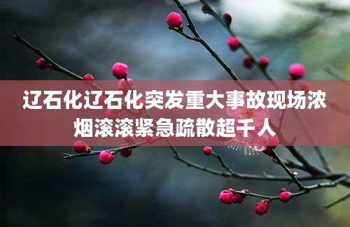 辽石化辽石化突发重大事故现场浓烟滚滚紧急疏散超千人