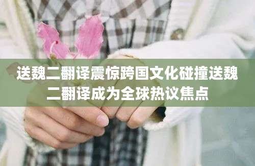 送魏二翻译震惊跨国文化碰撞送魏二翻译成为全球热议焦点