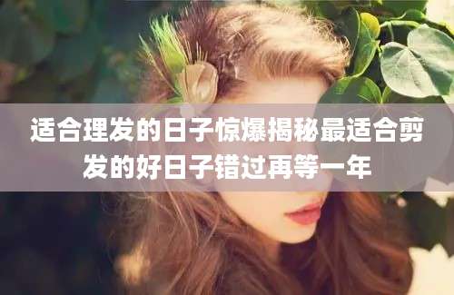 适合理发的日子惊爆揭秘最适合剪发的好日子错过再等一年