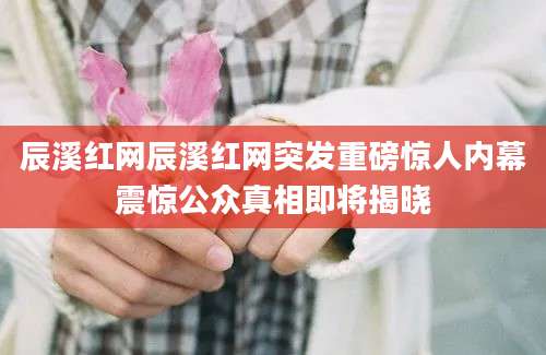辰溪红网辰溪红网突发重磅惊人内幕震惊公众真相即将揭晓