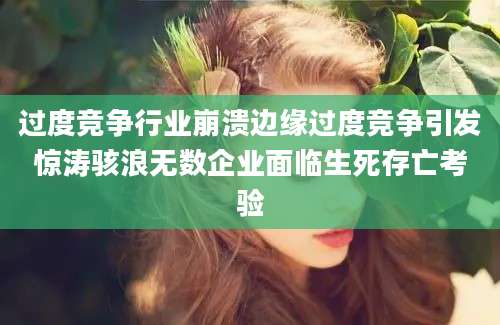 过度竞争行业崩溃边缘过度竞争引发惊涛骇浪无数企业面临生死存亡考验