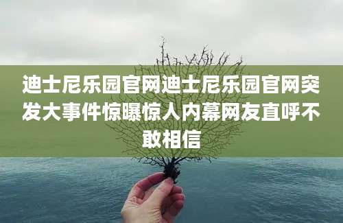 迪士尼乐园官网迪士尼乐园官网突发大事件惊曝惊人内幕网友直呼不敢相信