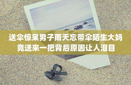 送伞惊呆男子雨天忘带伞陌生大妈竟送来一把背后原因让人泪目