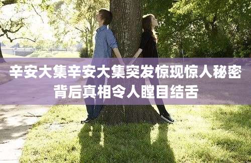 辛安大集辛安大集突发惊现惊人秘密背后真相令人瞠目结舌
