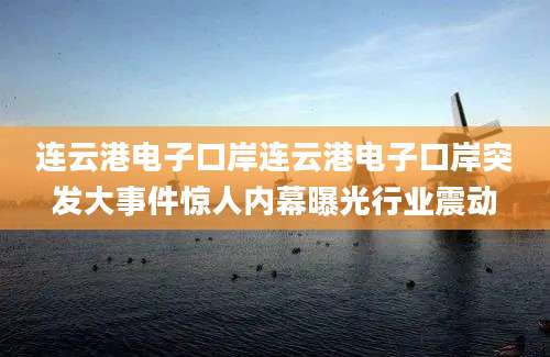 连云港电子口岸连云港电子口岸突发大事件惊人内幕曝光行业震动