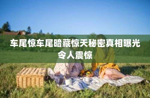 车尾惊车尾暗藏惊天秘密真相曝光令人震惊