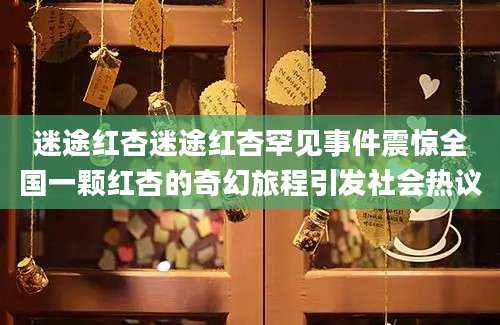 迷途红杏迷途红杏罕见事件震惊全国一颗红杏的奇幻旅程引发社会热议