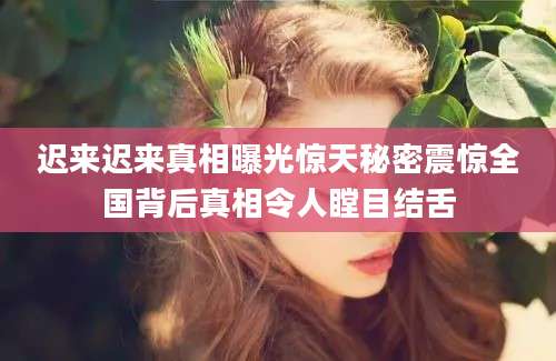迟来迟来真相曝光惊天秘密震惊全国背后真相令人瞠目结舌