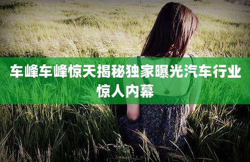 车峰车峰惊天揭秘独家曝光汽车行业惊人内幕