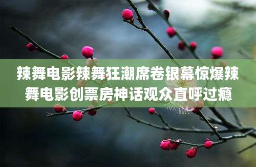 辣舞电影辣舞狂潮席卷银幕惊爆辣舞电影创票房神话观众直呼过瘾