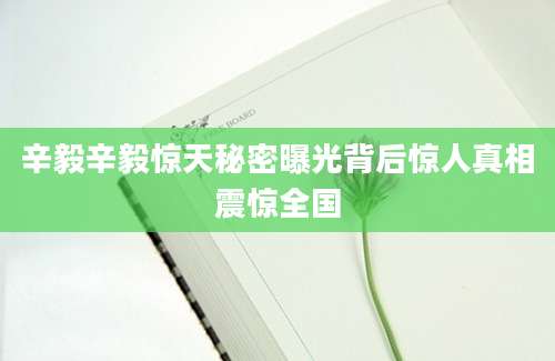 辛毅辛毅惊天秘密曝光背后惊人真相震惊全国