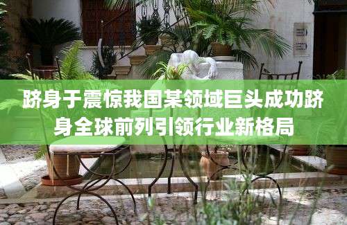 跻身于震惊我国某领域巨头成功跻身全球前列引领行业新格局